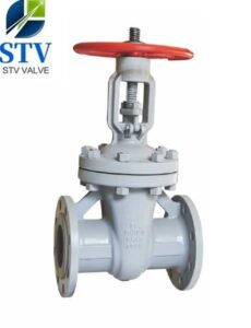 Gost-Gate-valve